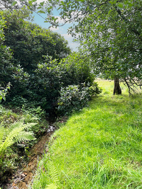 Wunderschönes Baugrundstück in Bendestorf